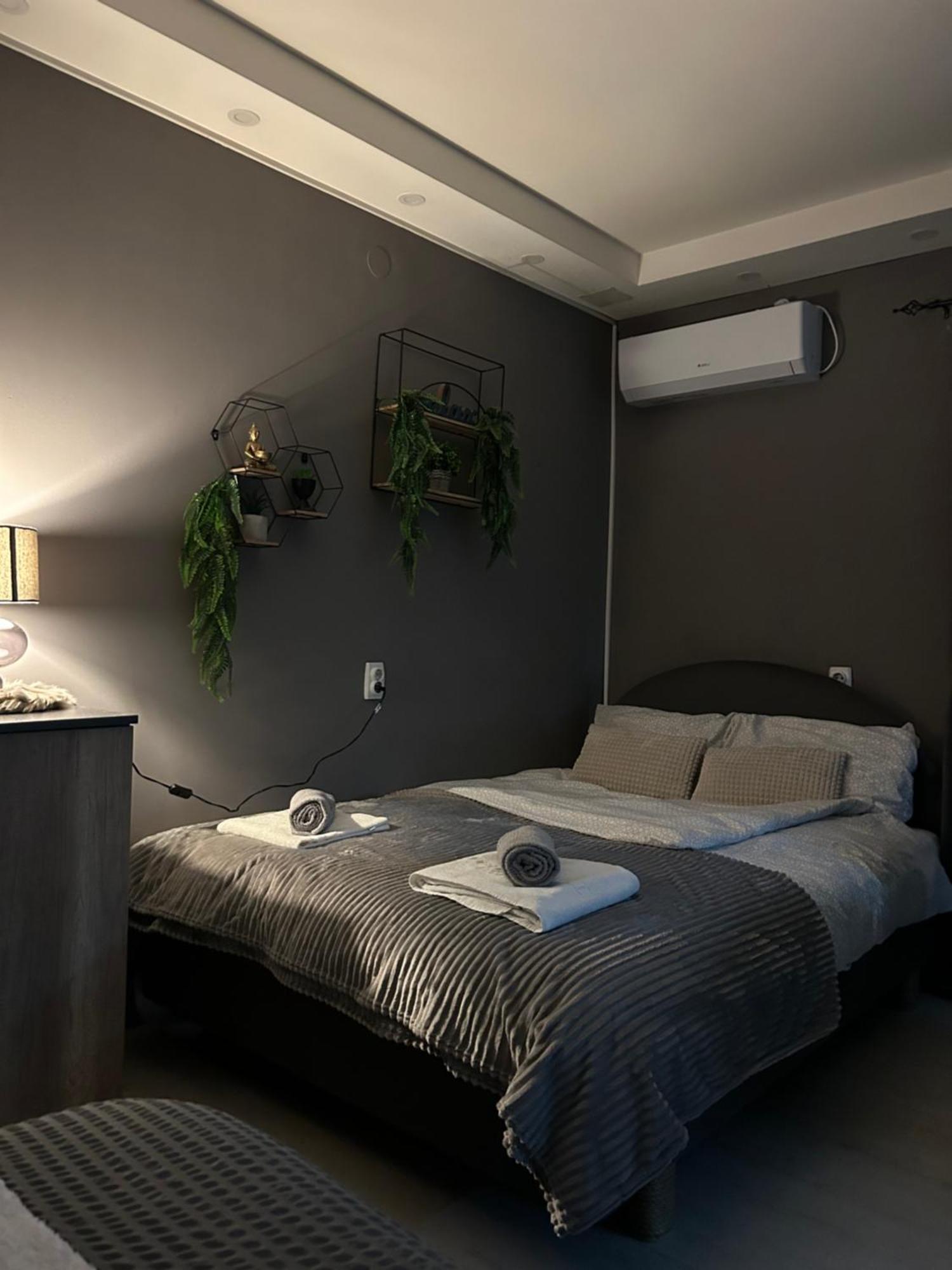 Beta House Apartments Заечар Экстерьер фото